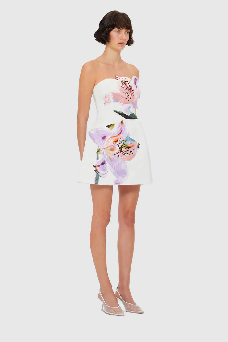 Rosaria | Floral Mini Dress