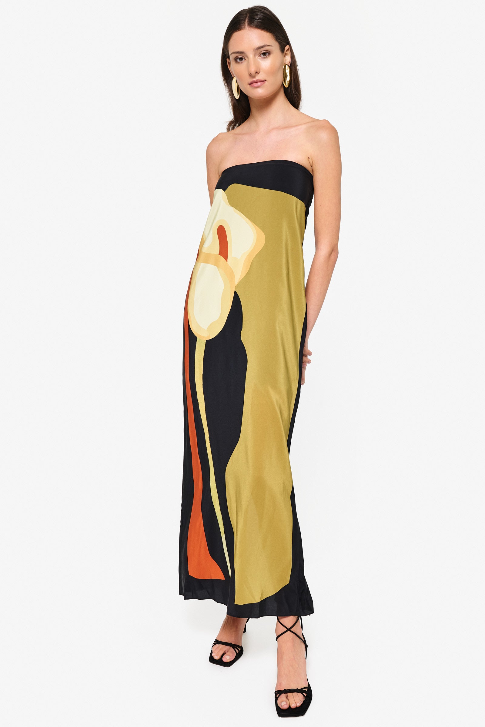 Zola | Multicolor Maxi Dress