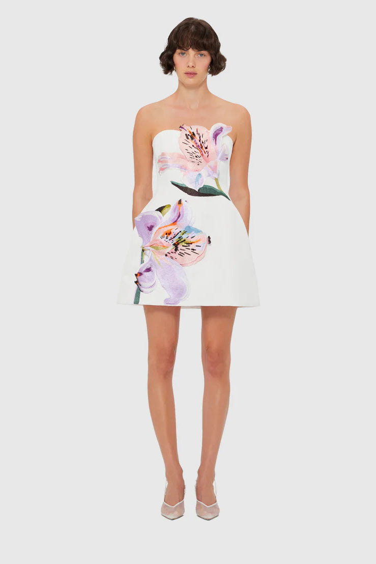 Rosaria | Floral Mini Dress