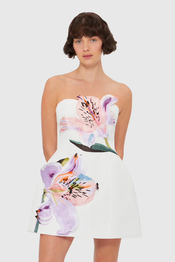 Rosaria | Floral Mini Dress